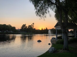 Beautiful orange sunset over the lake with trees, ducks and water fountain.