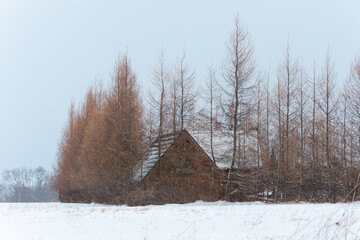 Wooden small house in winter - Powered by Adobe