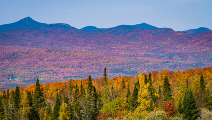 autumn foliage colors brighten up the landscape in the Vermont countryside
