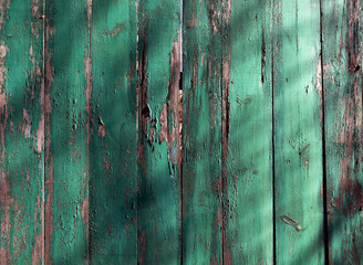 The old fence. It is painted green. The paint has peeled off over the years.