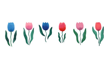 Collection of spring tulip flowers. Watercolor illustration. Vector illustration