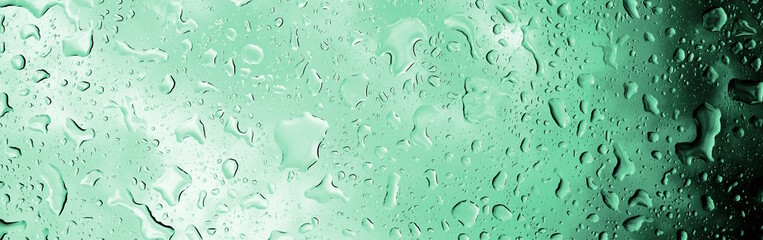 Hintergrund, Textur und Banner, Grün, Blaugrün