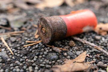 Soil contamination by lead pellets due to excessive hunting. The ground is covered with lead pellets and an old shotgun cartridge. Selective focusing - obrazy, fototapety, plakaty