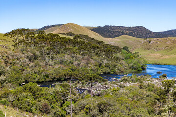 Araucaria forest, River, rocks and fields over mountains