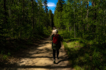 Obraz premium Artistic dark picture of a hiker in the mountains
