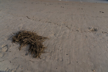 Sands in the beaches of North Carolina, near Surf City