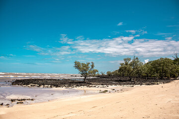 Solitária
Praia Santa Cruz - Espírito Santo