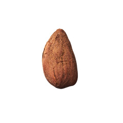  Single almond isolated over white background