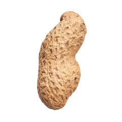  Single peanut with shell isolated on a white background