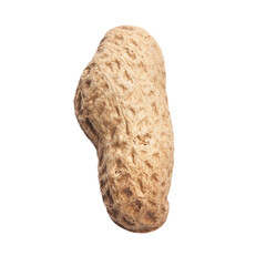  Single peanut with shell isolated on a white background