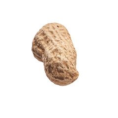  Single peanut with shell isolated on a white background