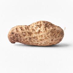  Single peanut with shell isolated on a white background