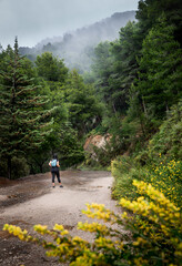 hiking in the forest