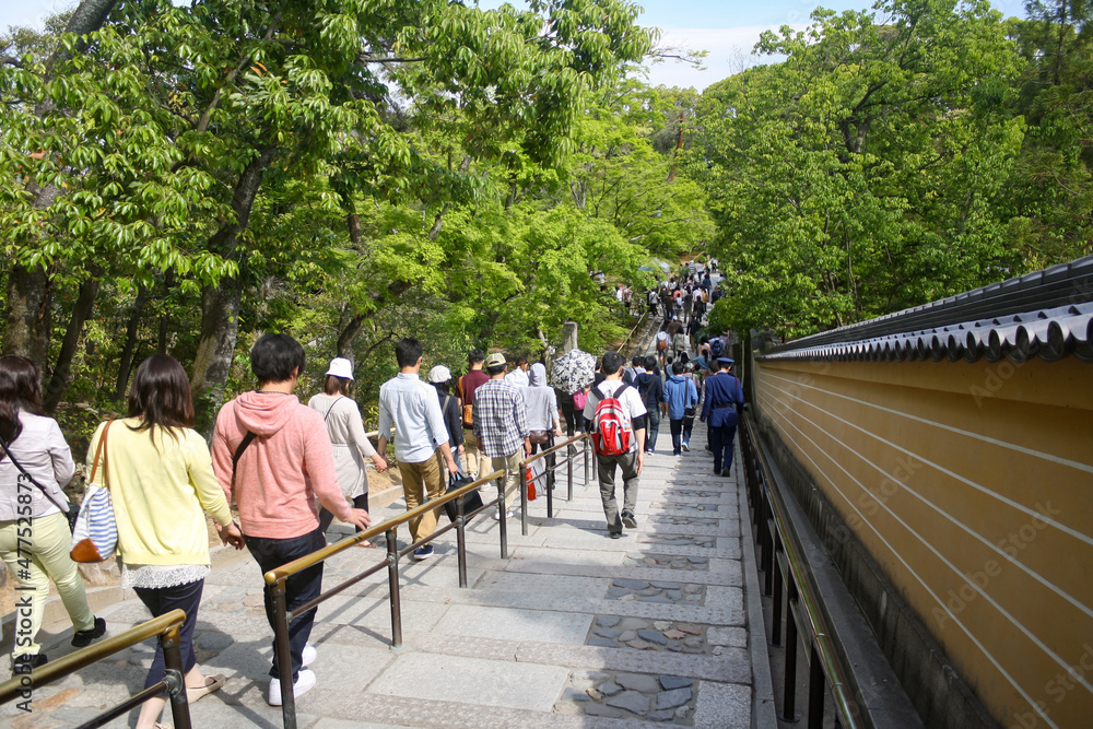 Wall mural crowd of people walking down pathway inside zen garden of ancient temple in kyoto, japan with trees 