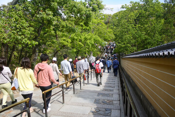 Crowd of people walking down pathway inside zen garden of ancient temple in Kyoto, Japan with trees...