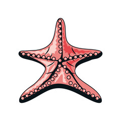 starfish sea life