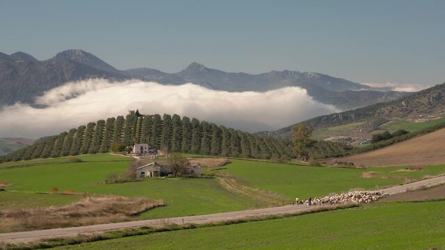 Fields in the countryside in Andalucia with mountains in the background