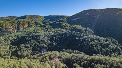 sunny landscape green vegetation, sunbeam, sun beam, light beam, landscape photography, trees