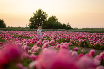 cute little girl running on a peony field against a sunset background