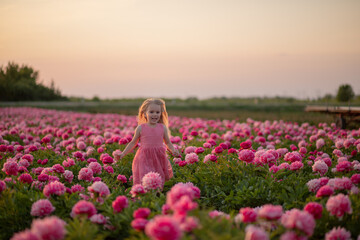 cute little girl running on a peony field against a sunset background.