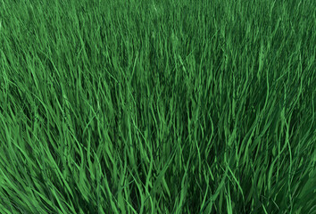 grass texture 3d rendering background