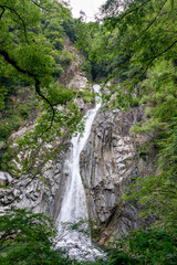 Obraz na płótnie Canvas Nunobiki waterfall in Kobe, Hyogo, Japan