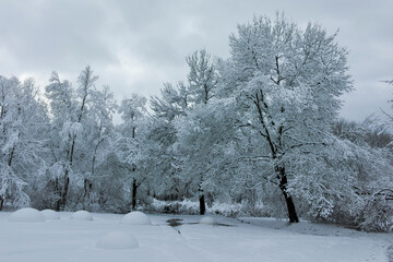 Winter landscape of South Park in city of Sofia, Bulgaria