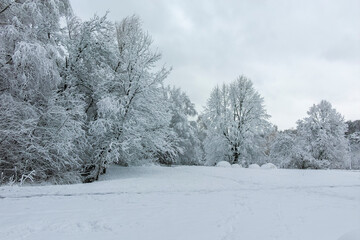 Winter landscape of South Park in city of Sofia, Bulgaria