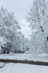 Winter landscape of South Park in city of Sofia, Bulgaria
