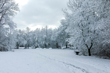 Winter landscape of South Park in city of Sofia, Bulgaria