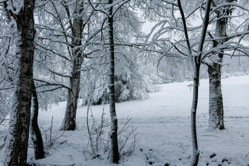 Winter landscape of South Park in city of Sofia, Bulgaria