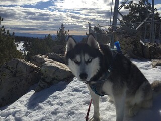 Mount Pinos hike in the Los Padres National Forest on a beautiful snowy day.