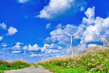 Fototapeta na wymiar 風力発電の町の大きな風車と綿雲の青空