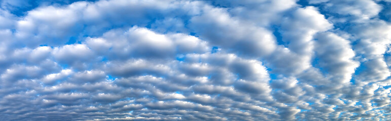 Obraz premium Panorama striped clouds and Blue sky background with big evening striped clouds. blue sky panorama may use for sky replacement.
