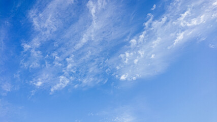 Fototapeta premium blue sky with clouds