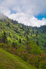 Obraz premium Blue Ridge Parkway