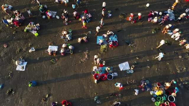 Morning on the beach in Vietnam: an aerial view of women wearing bright clothes. They are cleaning and sorting fish and seafood into colourful bowls.