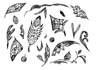 watercolor set with black and white doodling leaves