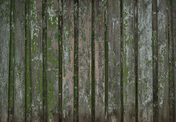 Fototapeta premium Old wood texture background, wooden board, rustic fence.