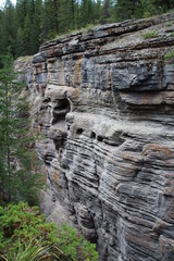 stone wall in the forest, Jasper National Park, Alberta