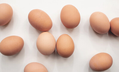brown eggs on white background