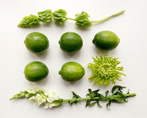 limes and flowers in grid on white background