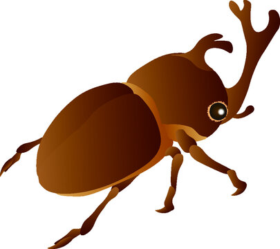 カブトムシ Images Browse 2 363 Stock Photos Vectors And Video Adobe Stock