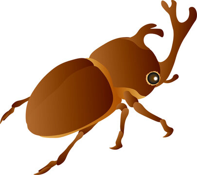 カブトムシ Images Browse 2 363 Stock Photos Vectors And Video Adobe Stock