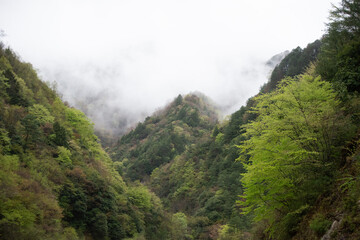 Fototapeta na wymiar Mist covered mountains in the spring time in Tangjiahe Nature Reserve in Sichuan China