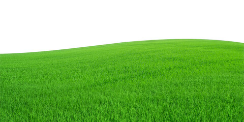 meadow green isolated on white background