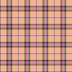 Rainbow Pastel Plaid textured Seamless Pattern