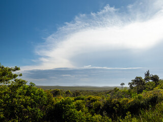 Angourie Afternoon Cloudscape
