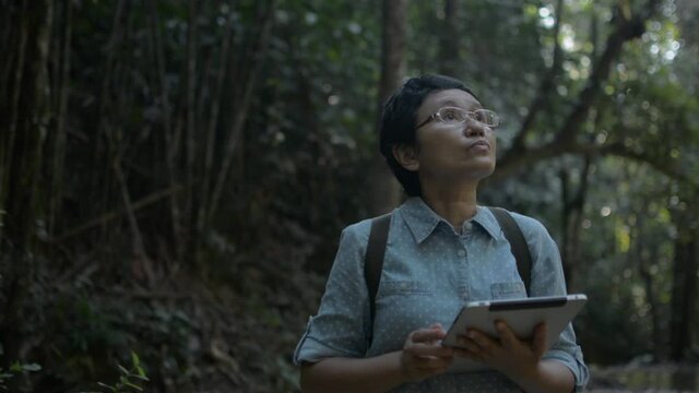 Asian female nature conservationist looking around while working in the rainforest with digital tablet in early morning. Woman ecologist survey for research in the jungle. Environment and ecosystem.