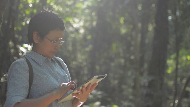 Asian female nature researcher working with digital tablet under morning sunlight in tropical rainforest. Making notes in digital device. Biology Activist. Environment and ecosystem concept.